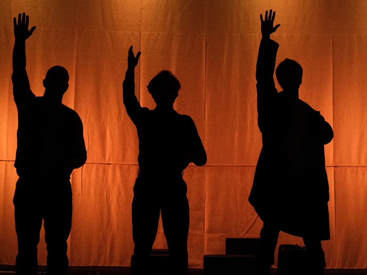 Adieu, Modestine ! – Théâtre des&nbsp;Copiaus